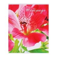 Комплект тетрадей из 5 штук (4 разные + 1 повторяющаяся), 48 листов в клетку Calligrata "Цветы", обложка мелованная бумага, блок №2, белизна 75% (серые листы) Комплект тетрадей из 5 штук (4 разные + 1 повторяющаяся), 48 листов в клетку Calligrata "Цветы", обложка мелованная бумага, блок №2, белизна 75% (серые листы)