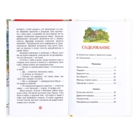 Книга «Рассказы и сказки для детей», Паустовский К.Г., внеклассное чтение Книга «Рассказы и сказки для детей», Паустовский К.Г., внеклассное чтение