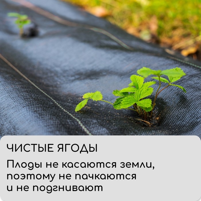 Агроткань застилочная, с разметкой, 10 &times; 1.6 м, плотность 100 г/м&sup2;, полипропилен, Greengo, Эконом 50%