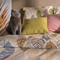 Постельное бельё "Этель" 1.5 сп Foliage 143*215 см, 150*214 см, 70*70 см -2 шт, бязь Постельное бельё "Этель" 1.5 сп Foliage 143*215 см, 150*214 см, 70*70 см -2 шт, бязь