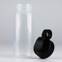 Бутылка для воды &laquo;Вид 1&raquo;, 450 мл