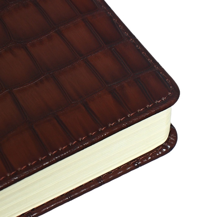 Ежедневник датированный 2024 A5 176 листов, deVENTE.Belcanto, твёрдая обложка из искусственной кожи с поролоном, ляссе, кремовый блок 70 г/м2, коричневый