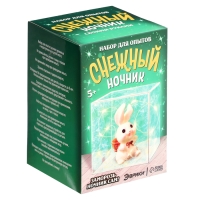 Набор для опытов &laquo;Снежный ночник: Кролик&raquo;, своими руками