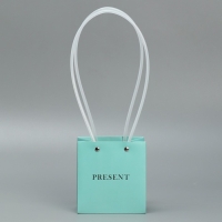 Пакет для цветов Gift, 11.5 х 12 х 8 см