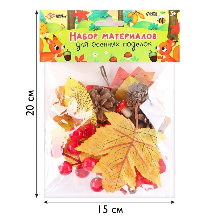 Набор для творчества &laquo;Материалы для осенних поделок. Листья, шишки&raquo;