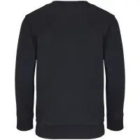 Свитшот детский Columbia Kids, черный, на рост 142-152