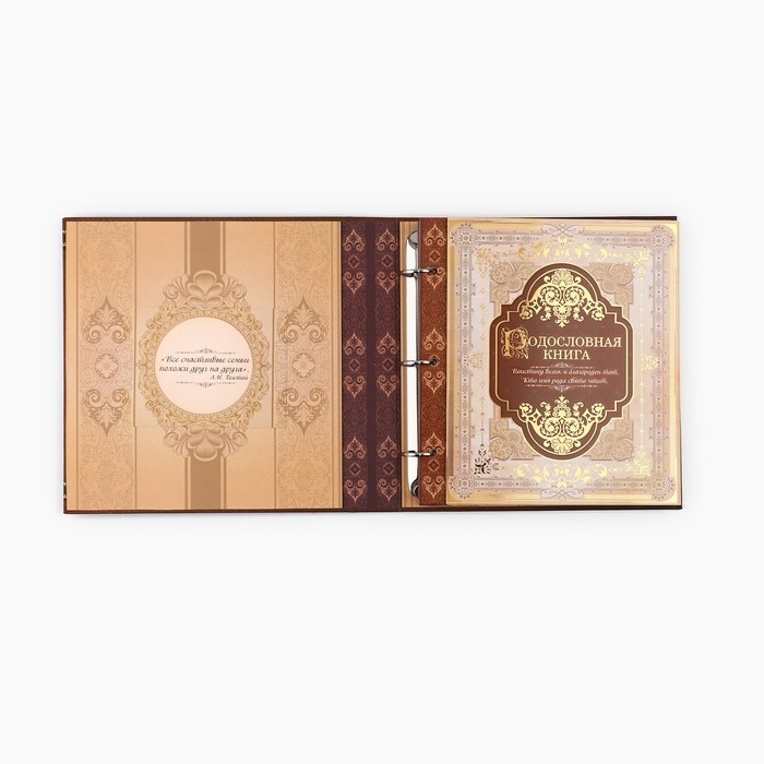 Родословная книга с рамкой под фото &laquo;Семейная&raquo;, 21,5 х 23,7 см.