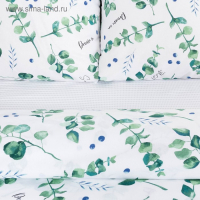 Постельное бельё &laquo;Этель&raquo; 1.5 сп Листья эвкалипта 143*215 см,150*214 см, 70*70 см 2 шт