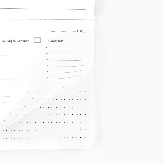 Планинг в мягкой обложке софт-тач А5, 60 листов PROвыбор &laquo;Черный&raquo;