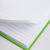 Ежедневник "Ленивец. Серия для тех у кого лапки", А5, 80 листов