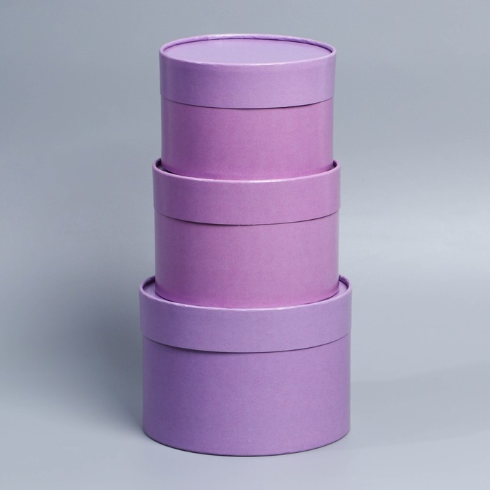 Набор шляпных коробок 3 в1, упаковка подарочная, (16х10,14х9,13х8,5) лавандовый Набор шляпных коробок 3 в1, упаковка подарочная, (16х10,14х9,13х8,5) лавандовый