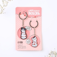 Брелок для ключей парный «ЗаМУРчательная любовь», акриловый, 13,3 х 8 Брелок для ключей парный «ЗаМУРчательная любовь», акриловый, 13,3 х 8
