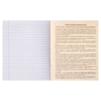 Тетрадь предметная Calligrata TOP "Полоса", 48 листов в линию Литература, со справочным материалом, обложка мелованный картон, ТВИН + выборочный УФ-лак, офсет