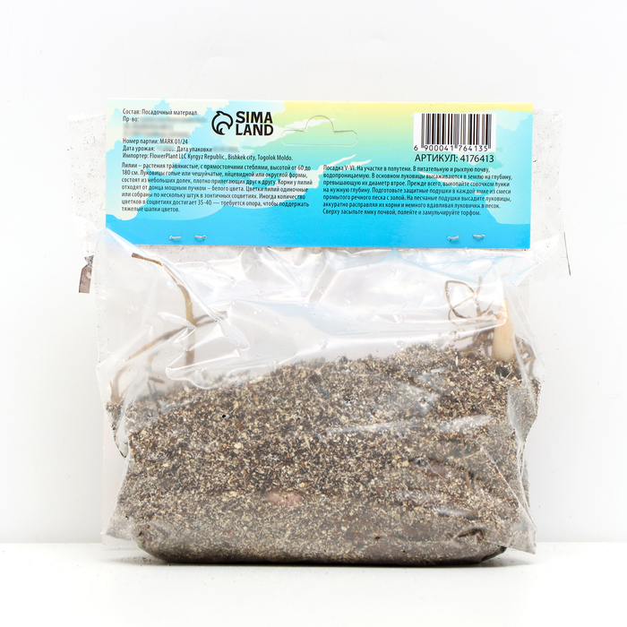 Лилия Чалмовидная "Мисс Фея", р-р 12/14, 3 шт,