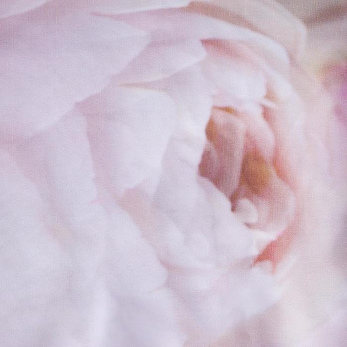 Тюль &laquo;Галатэя&raquo; 147х267 +/- 3 см, -2 шт