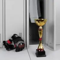 Кубок Awardee, средний, красный