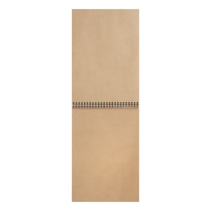 Альбом для эскизов А4, 50 листов на гребне Альбом для эскизов А4, 50 листов на гребне "Арабчики", обложка крафт-бумага, блок крафт-бумага 70 г/м²