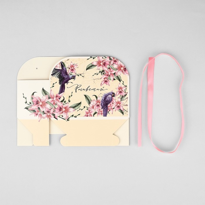 Переноска для цветов складная «Расцветай», 17 × 13 × 7 см Переноска для цветов складная «Расцветай», 17 × 13 × 7 см