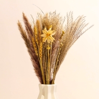 Сухоцветы &laquo;Нежность&raquo;, набор из 4 видов, 48 &times; 16 &times; 6 см