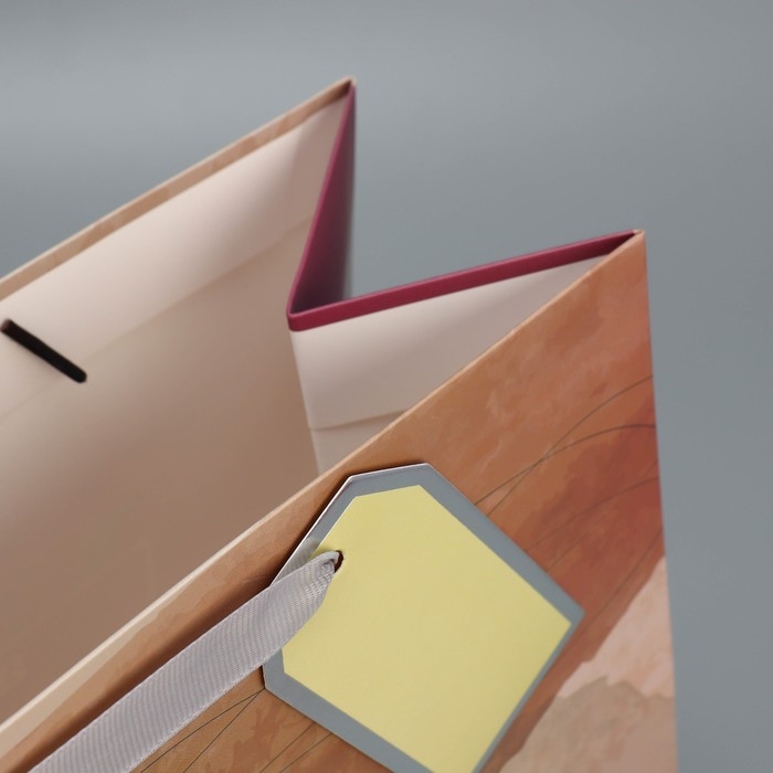 Пакет подарочный ламинированный, упаковка, &laquo;Ты особенный&raquo;, 25.4 х 30.5 х 12.7 см