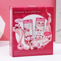 Подарочный набор косметики &laquo;Нежность и красота&raquo;, гель для душа и пена для ванны, 2 х 250 мл, ЧИСТОЕ СЧАСТЬЕ