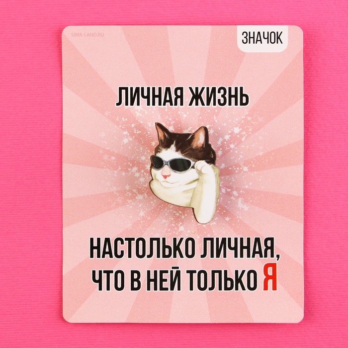 Значок деревянный &laquo;Кот в очках&raquo;, серия мемы , 2,4 х 3,2 см