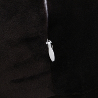 Мягкая игрушка &laquo;Панда&raquo; с пледом, 35 см