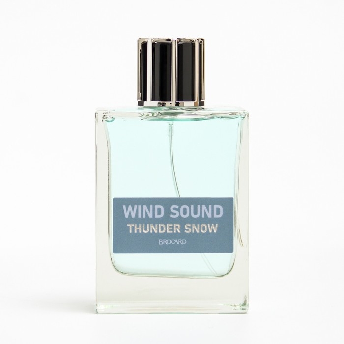 Туалетная вода мужская Туалетная вода мужская "Звук Ветра", "Снежная Гроза", 100 мл