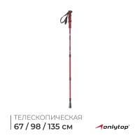 Палка для скандинавской ходьбы ONLITOP, телескопическая, 3 секции, алюминий, до 135 см, 1 шт., цвет красный/синий, Палка для скандинавской ходьбы ONLITOP, телескопическая, 3 секции, алюминий, до 135 см, 1 шт., цвет красный/синий,