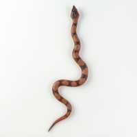 Резиновая змея &laquo;Полоз&raquo;