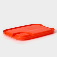 Блюдо для шашлыка с соусницей 30,3&times;21&times;2,5 см, цвет оранжевый