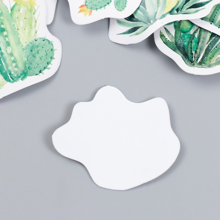 Наклейки для творчества "Цветущие суккуленты" набор 46 шт 4,4х4,4х1,1 см