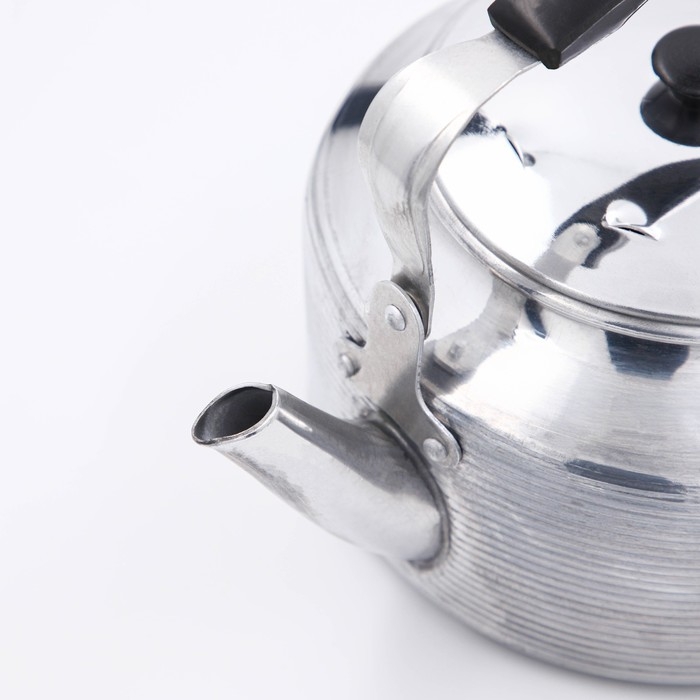 Чайник &laquo;Полированный&raquo;, 3 л