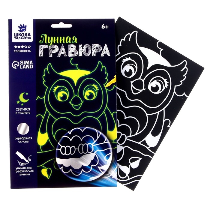 Набор для творчества: лунная гравюра детская и аппликация пайетками &laquo;Сова&raquo;