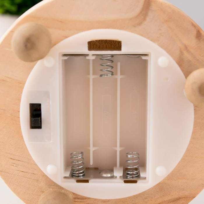 Ночник "Колба с алой розой" LED от батареек 3ААА 19,5х9,5х9,5 см RISALUX