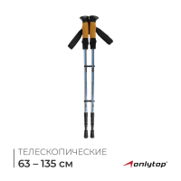 Палки для скандинавской ходьбы ONLITOP, телескопические, 3 секции, до 135 см, 2 шт., цвет МИКС Палки для скандинавской ходьбы ONLITOP, телескопические, 3 секции, до 135 см, 2 шт., цвет МИКС