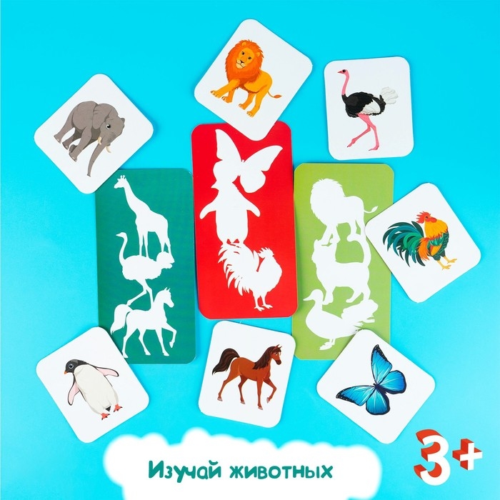 Развивающий набор &laquo;Найди по тени&raquo;