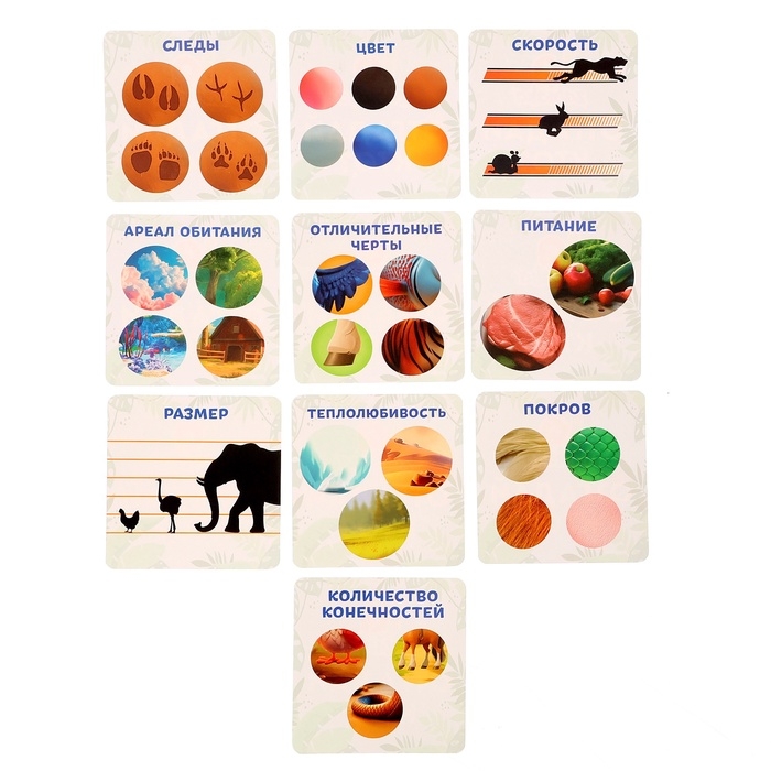 Развивающая игра &laquo;Отгадай кто?&raquo;