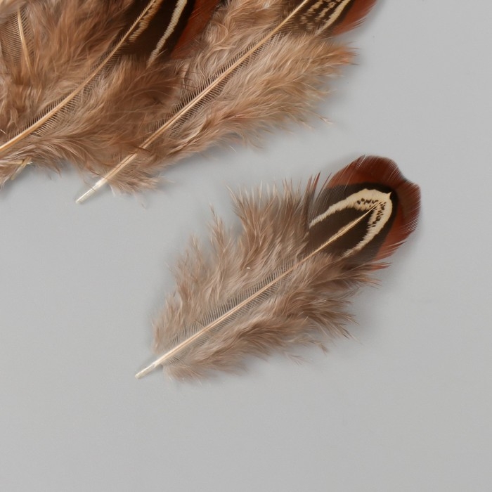 Перо декоративное фазана "Рябь. Коричневая" набор 20 шт h=5-7 см