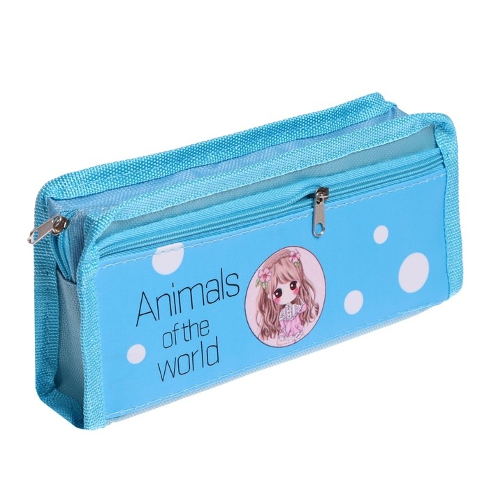 Пенал школьный Пенал школьный "Аниме" на молнии, 2 отделения, МИКС