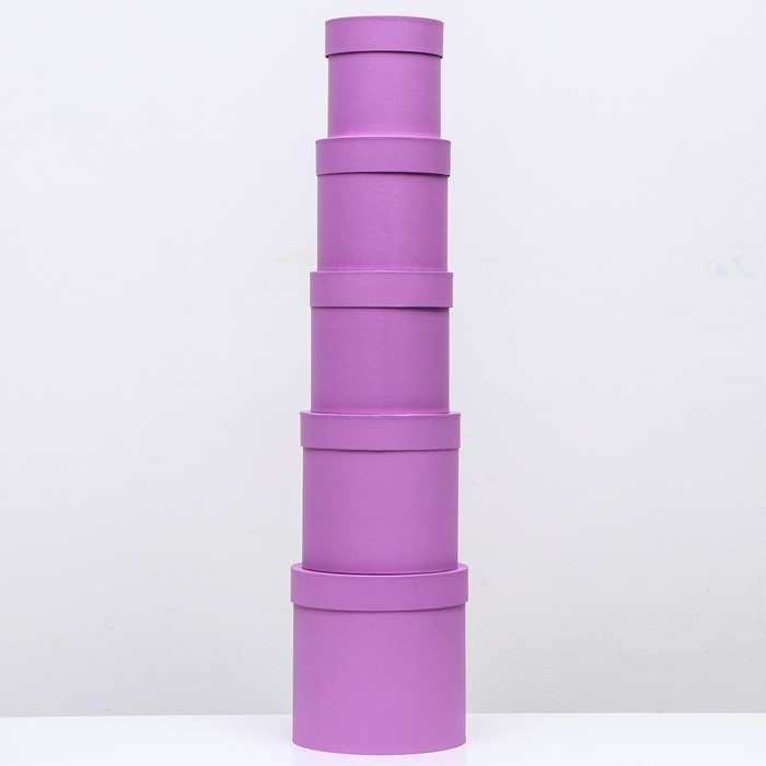 Набор шляпных коробок 5 в 1 "Фиолетовые" , 20 х 20-13 х 13 см