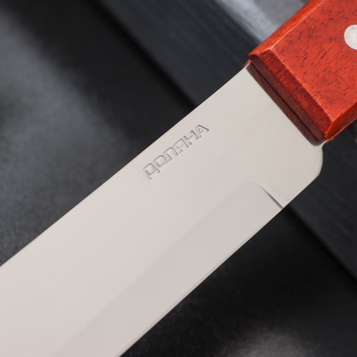 Нож для мяса и стейков Доляна &laquo;Мачете&raquo;, лезвие 10 см