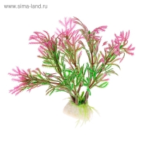 Набор растений искусственных для аквариума (2 шт), 10 см Набор растений искусственных для аквариума (2 шт), 10 см