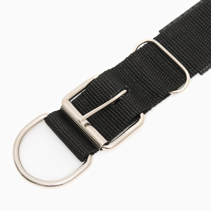 Ошейник Ошейник "Комфорт" комбинированный, 60 х 4 см, ОШ 45-55 см, чёрный