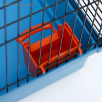 Клетка для грызунов "Сеня 2", 50 x 37 x 37 см, микс цветов Клетка для грызунов "Сеня 2", 50 x 37 x 37 см, микс цветов