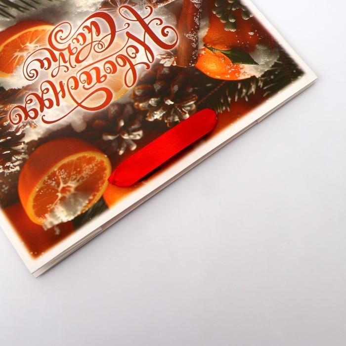 Новый год. Пакет подарочный новогодний бумажный, Новый год. Пакет подарочный новогодний бумажный, "Новогодняя сказка", 24 х 20 х 11 см.