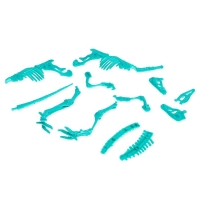 Набор для опытов &laquo;Древний мир&raquo;