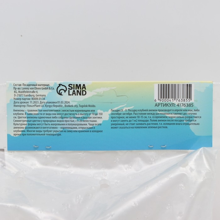 Анемона корончатая "Сильфида", р-р 6/7, 10 шт,