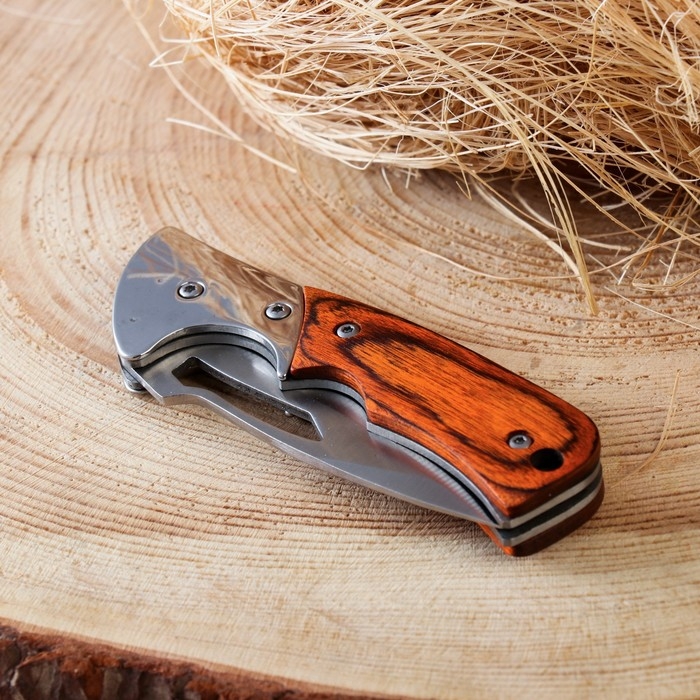 Нож складной Нож складной "Лор" 16,5см, клинок 70мм/2мм