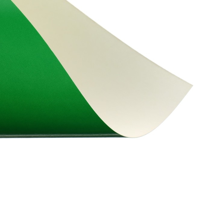 Картон цветной А4 10 листов, 10 цветов "Волшебный" мелованный, одностороний, 200г/м&sup2; Calligrata, в папке